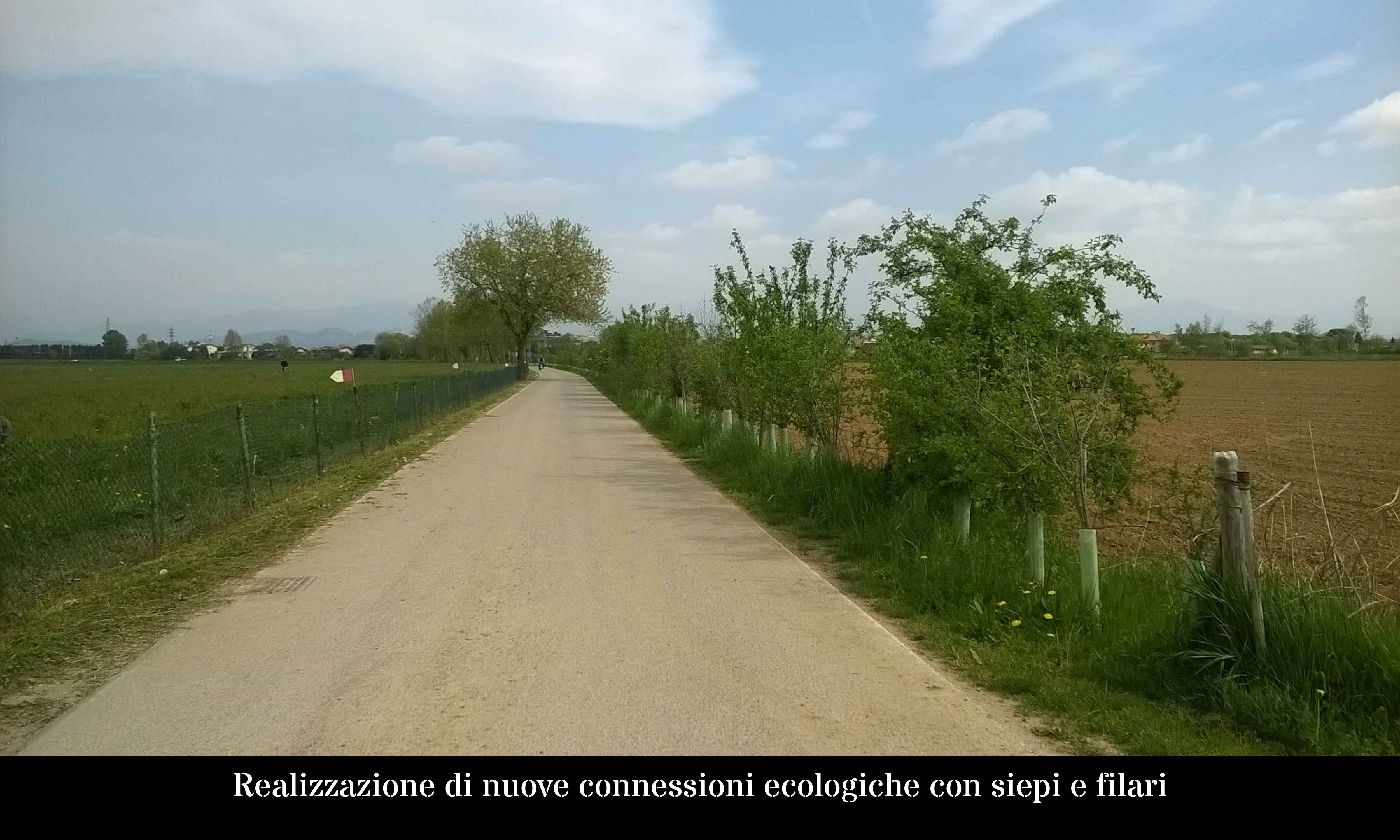 Realizzazione di nuove connessioni ecologiche con siepi e filari