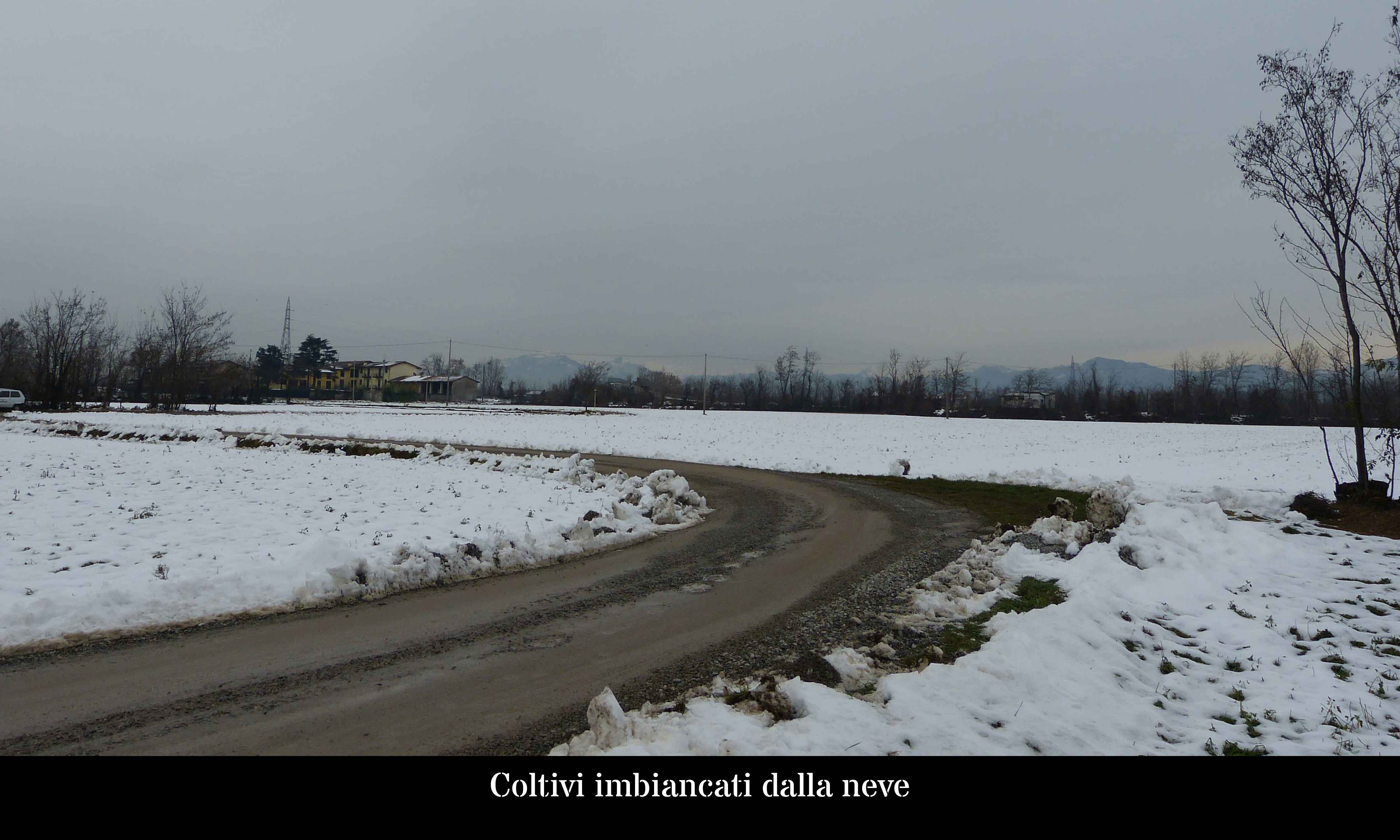 Coltivi imbiancati dalla neve