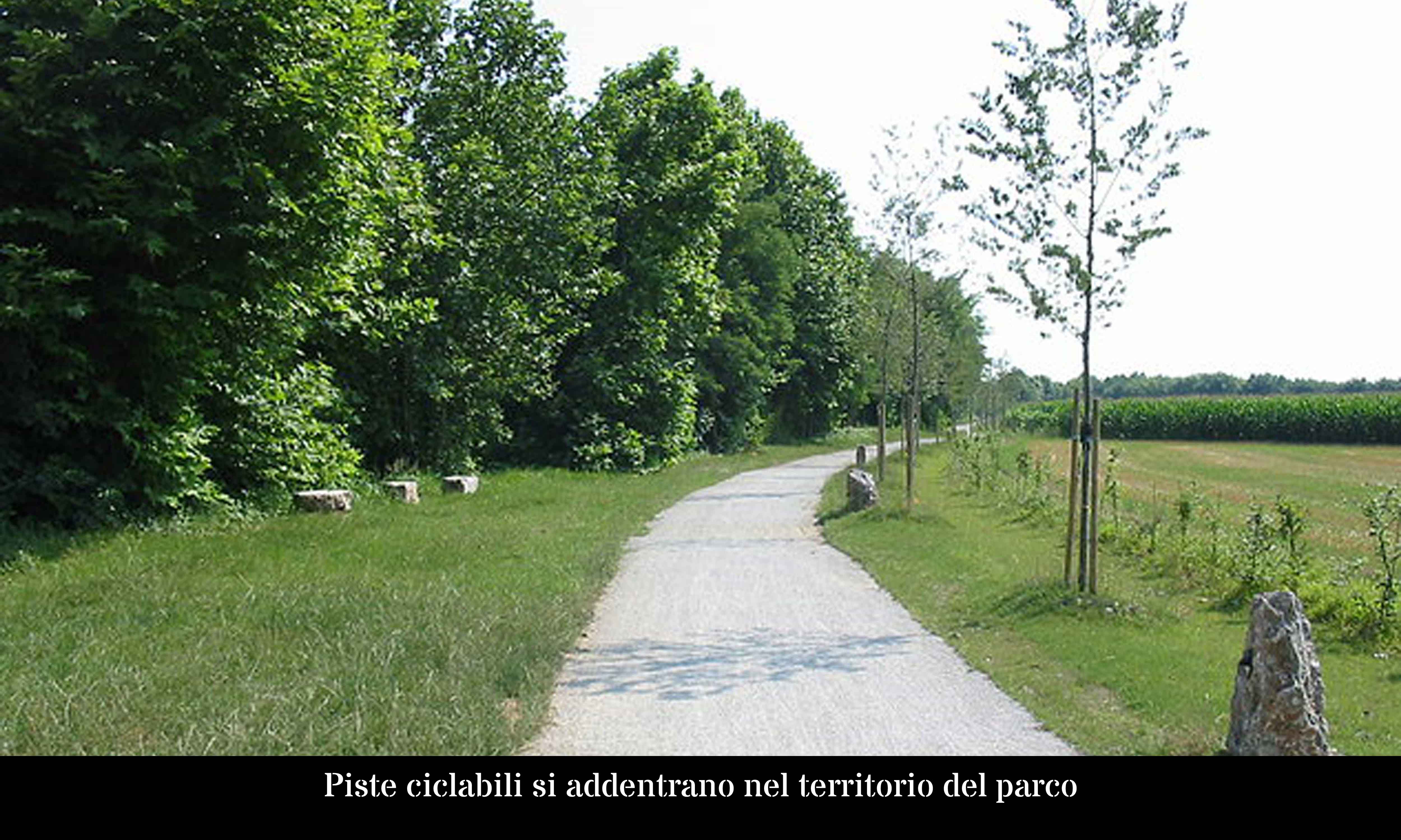 Piste ciclabili si addentrano nel territorio e consentono il collegamento degli abitati in mobilità dolce