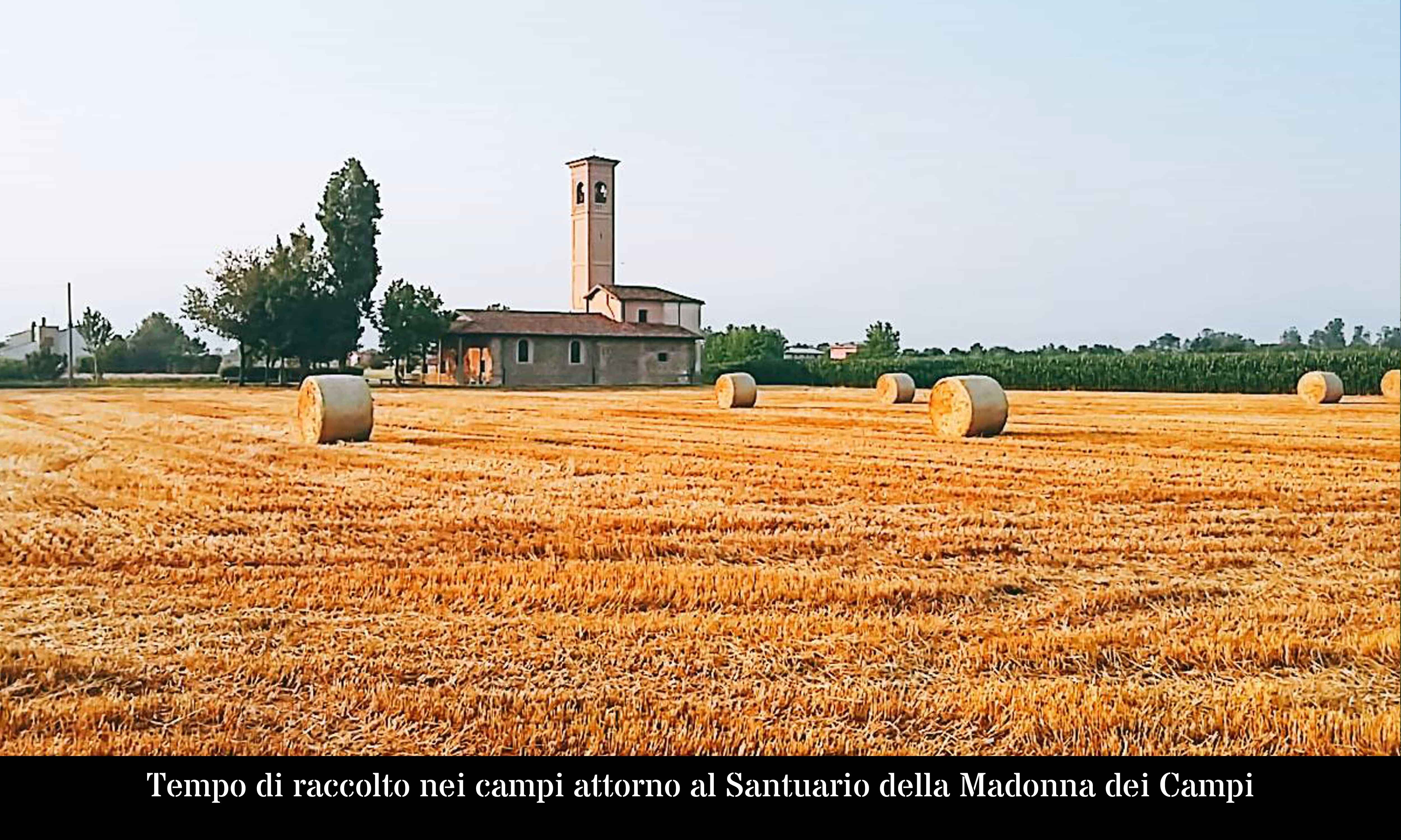 Tempo di raccolto nei campi attorno al Santuario della Madonna dei campi (foto P. Cuter)