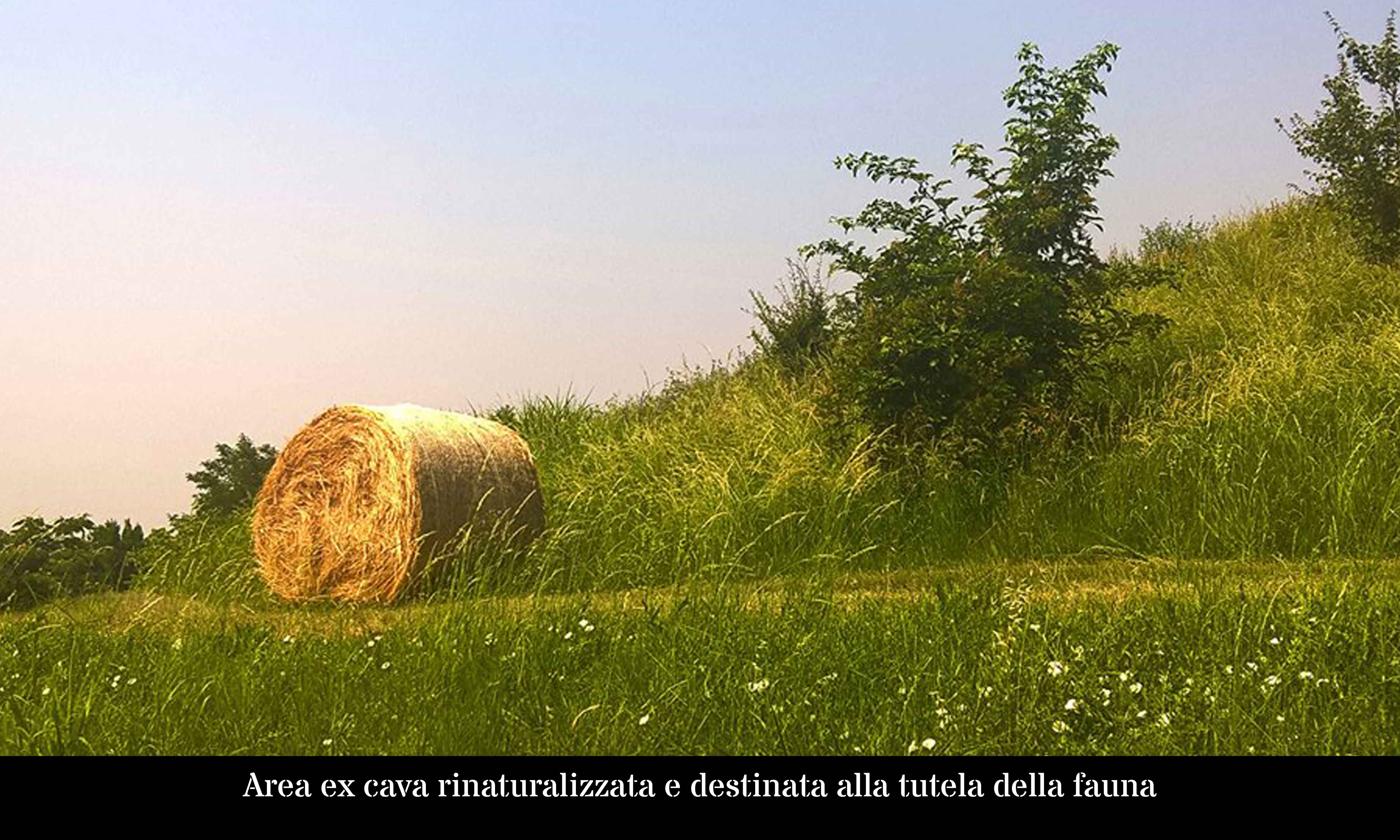 Area ex cava, rinaturalizzata e destinata alla tutela della fauna